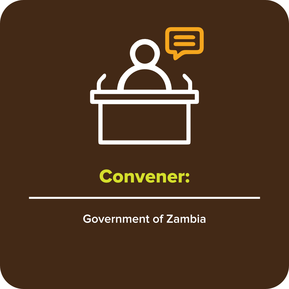 Convener: Government of Zambia